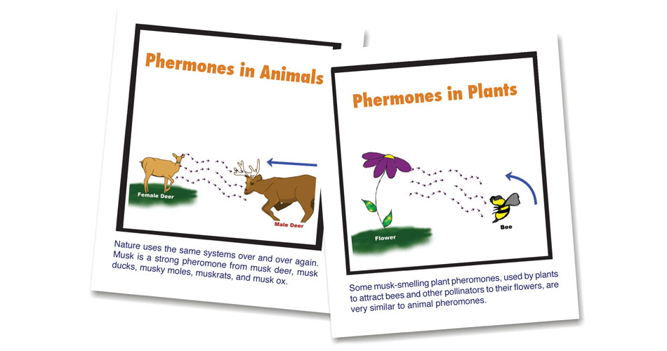Plant and Animal Pheromones